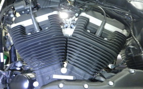 HARLEY XL883N 2009