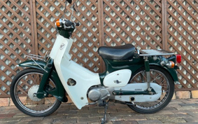 HONDA SUPER CUB50 C50