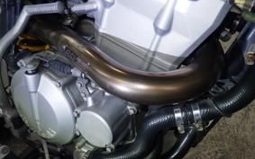 KAWASAKI KLX250D TRACKER 2024 LX250E