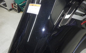 SUZUKI Vｽﾄﾛｰﾑ250A 2022