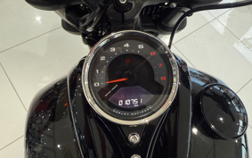 HARLEY FXFBS 2019 YLK