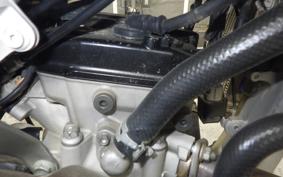 KAWASAKI KX250 2024 KX252C