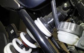 HUSQVARNA SVARTPILEN 401 2023