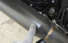 HARLEY FXLRS1920 2022