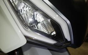 HONDA FORZA 250 MF17
