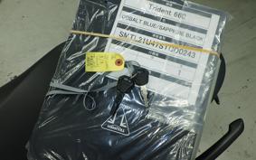 TRIUMPH TRIDENT 660 2024