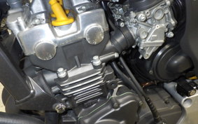 HONDA HORNET 250 MC31