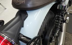 TRIUMPH BONNEVILLE T100 2023
