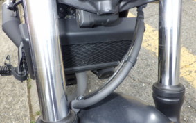 HONDA REBEL 250 A MC49