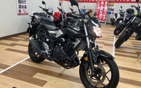 YAMAHA MT-25 RG10J