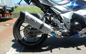 SUZUKI GSX250R DN11A