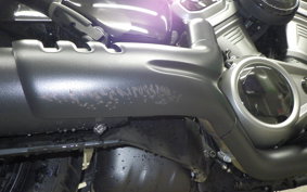 HARLEY RH975 2022