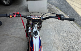 HONDA RTL300R RTL300RF