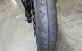KAWASAKI NINJA 250 EX250L