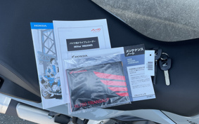 HONDA XL750 TRANSALP  2025 RD16