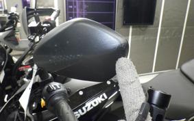 SUZUKI Vｽﾄﾛｰﾑ250SX 2023 EL11L