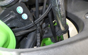 KAWASAKI NINJA 250R 2019 EX250K