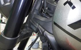 TRIUMPH TRIDENT 660 2021
