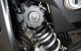 HONDA HAWK 11 2022