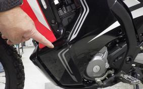 HONDA CRF250 RALLY LDA 2025 MD44