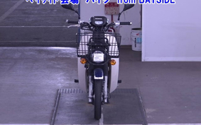 OTHER C110PU LOW 3