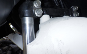 HONDA BENLY 50 AA05