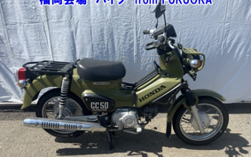 OTHER  CROSS  CUB 50