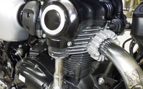 KAWASAKI W800 CAFE 2019 EJ800B