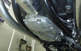 KAWASAKI W800 2019 EJ800A