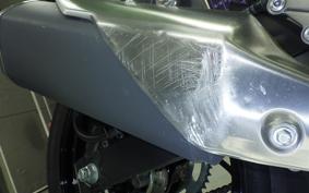 KAWASAKI NINJA 250 EX250L