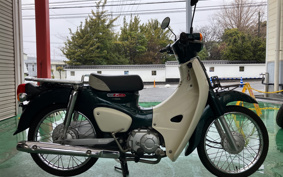 HONDA SUPER CUB50 AA09
