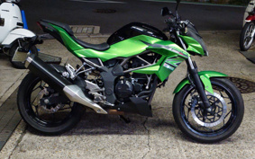 KAWASAKI Z250 SL BR250E