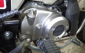 HONDA CT125 HUNTER CUB