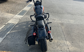 HARLEY FXBBS 2023 YYK