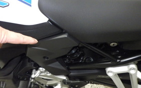 BMW F800GS 2025