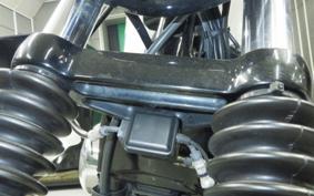 HARLEY XL1200NS 2018