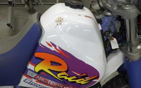 YAMAHA TT250R RAID 4GY