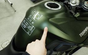 TRIUMPH TIGER 800 2019