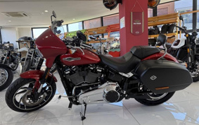 HARLEY FLSB 2019 YMJ