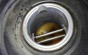 HONDA ｸﾞﾛﾑ 2025 JC61