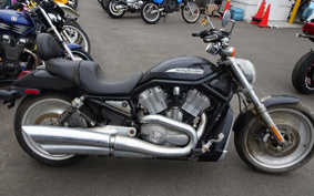 HARLEY VRSCB 2004 HBZ