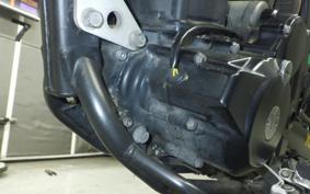 KAWASAKI KLX250D TRACKER X 2019 LX250V
