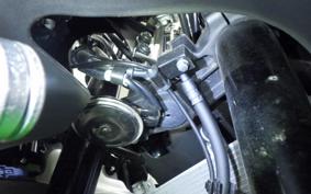 KAWASAKI ZX-4RR 2024 ZX400P