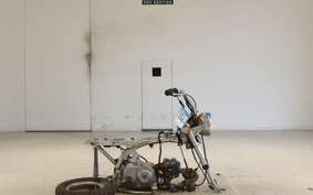 HONDA MONKEY 2010 Z50J