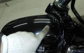 HARLEY XL1200XS 2019