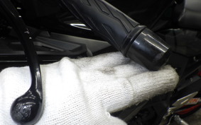 SUZUKI GSX-R125 2025 DL33B