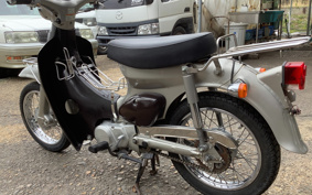 HONDA LITTLE CUB C50