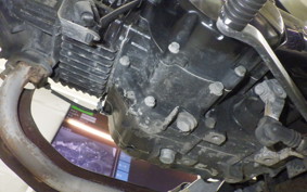 HONDA GROM