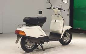 YAMAHA BELUGA 80 5G3