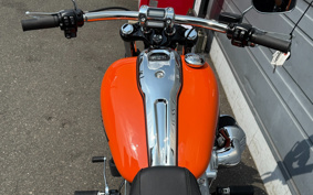 HARLEY  HARLEY FXBR 2023 YEZ